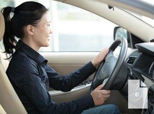 China Automotive Performance, Execution and Layout (APEAL) Study