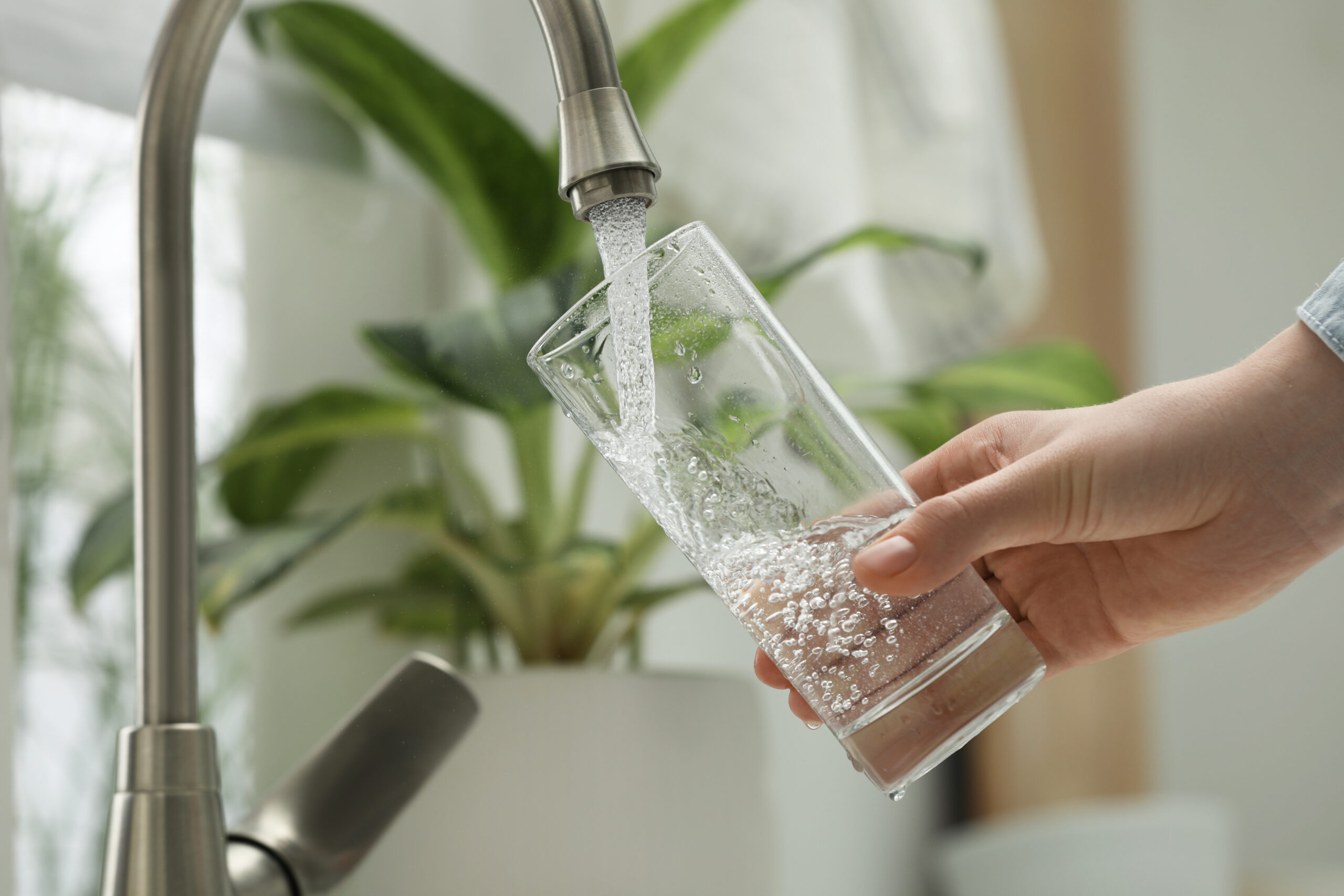 person filling up a glass of water at a sink