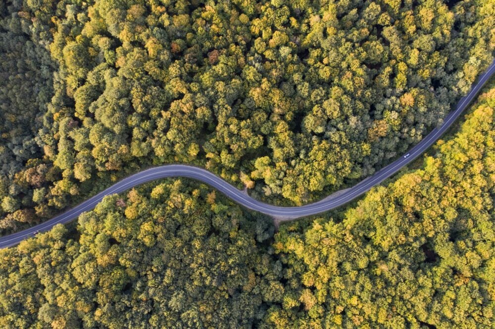 Aerial view of curving road through colourful autumn forest|