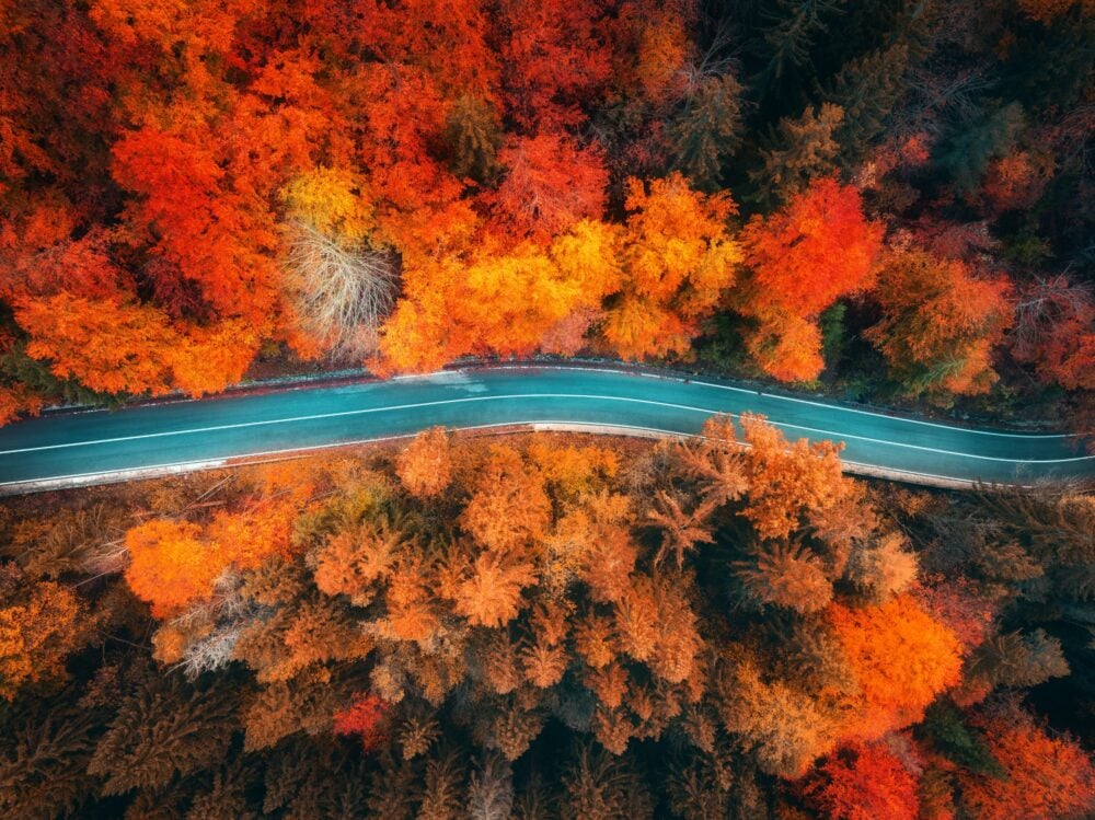 Aerial view of mountain road and colourful forest in autumn|